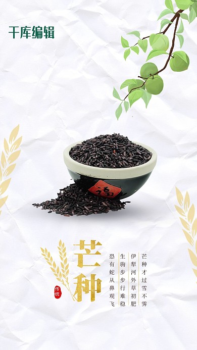 芒种节气谷物白色中式海报