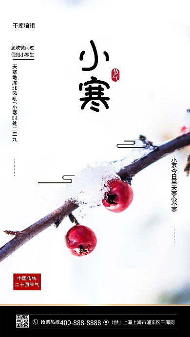小寒红果雪红色简约海报