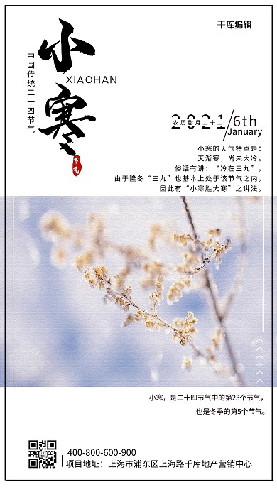 小寒节气海报树枝蓝黄黑简约海报