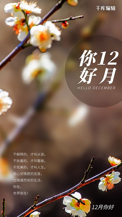 12月你好腊梅棕色简约海报