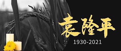 祭奠袁隆平先生杂交水稻之父配图