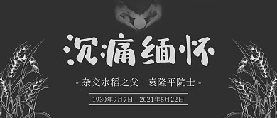 沉痛缅怀杂交水稻之父袁隆平灰色简约公众号首图