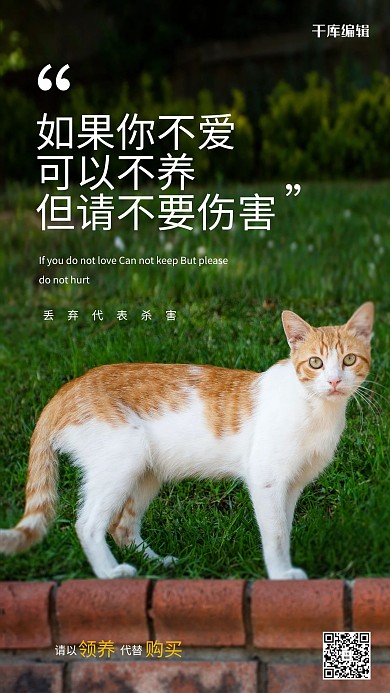 猫咪领养绿色简约海报