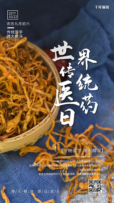世界传统医药节蓝色简约海报
