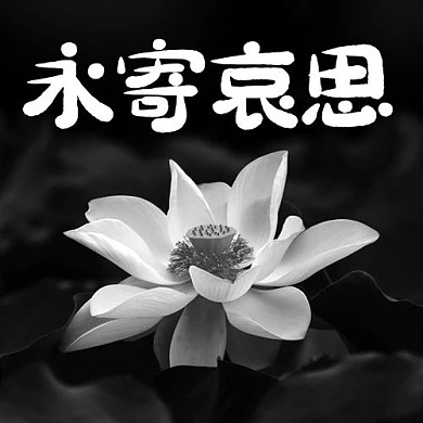 永寄哀思荷花黑灰中国风公众号次图