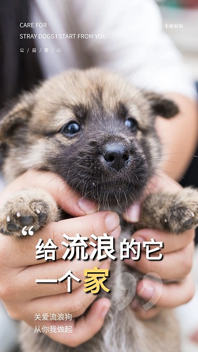 狗狗公益白色简约摄影海报