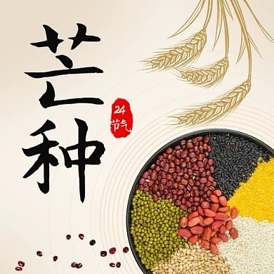 芒种五谷彩色简约公众号次图