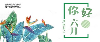 六月你好小清新唯美植物公众号封面