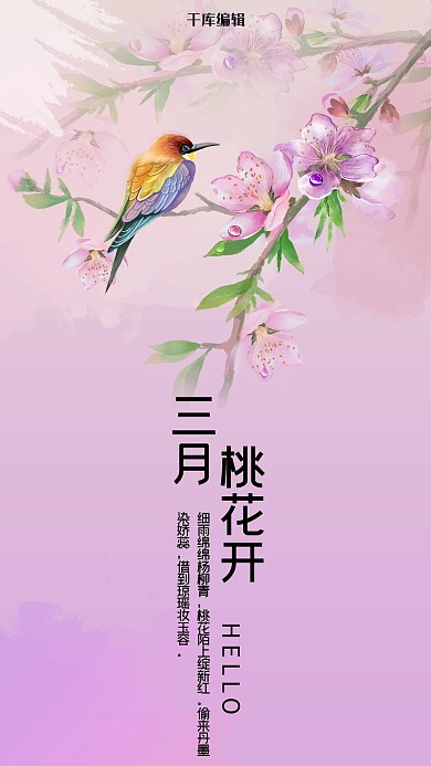 三月你好紫色手绘风十二花信之三月桃花手机海报