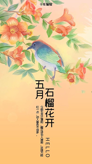 五月你好橘色手绘风十二花信之五月石榴花手机海报
