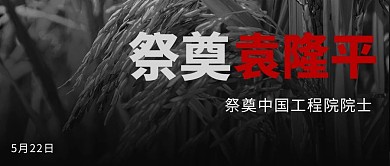 祭奠袁隆平先生摄影图黑色商务风公众号首图