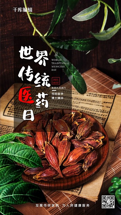世界传统医药日黑色简约海报