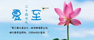 二十四节气夏至设计