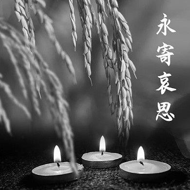 悼念水稻灰色肃穆公众号次图