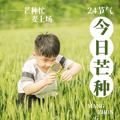 芒种节气摄影图绿色清新公众号次图