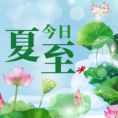 今日夏至荷花彩色简约公众号次图