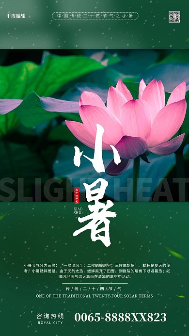 小暑节气荷花绿色简约海报