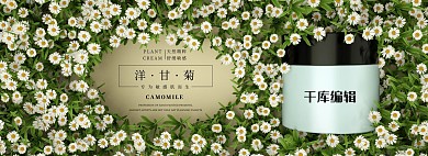 化妆品洋甘菊精华小雏菊绿色自然电商全屏banner