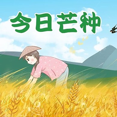 芒种节气收麦子金色简约公众号次图