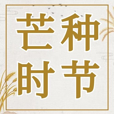 芒种节气麦子金色简约公众号次图