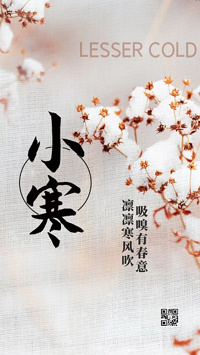 小寒节气白色简洁海报