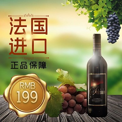 法国进口红酒绿色简约电商主图直通车