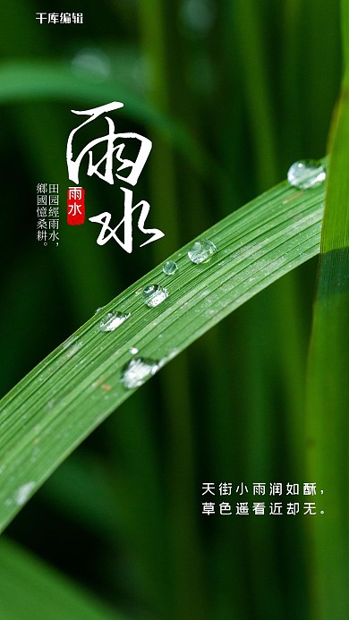 雨水 节气绿色简约海报