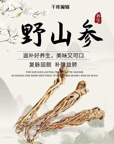 中国风野山参电商竖版banner