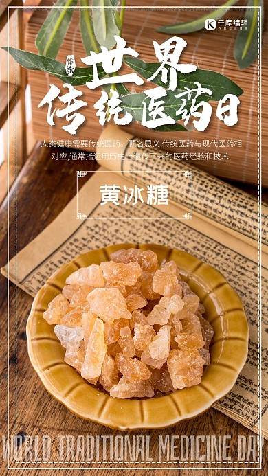 世界传统医药日中药褐色摄影图海报