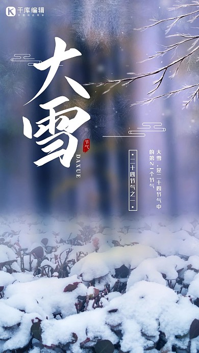 大雪白色简约节气宣传手机海报