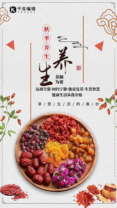 中华美食养生产品促销海报