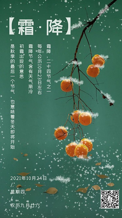 简约柿子霜降节气手机海报
