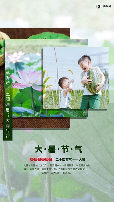 大暑节气夏天绿色简约海报