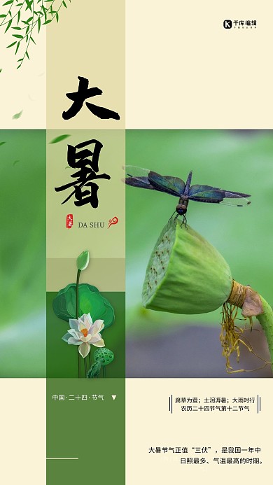 大暑节气荷花绿色简约海报