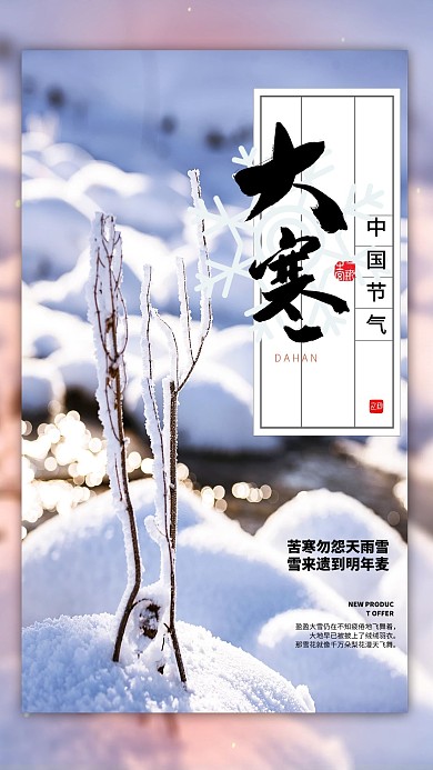 大寒雪景白色简约海报