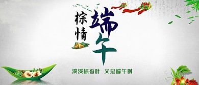 高端大气简约风格端午节海报