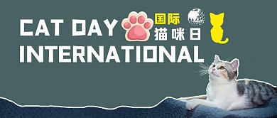 国际猫咪日猫咪日灰蓝色时尚新媒体首图