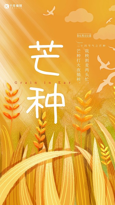 芒种节气黄色个性大气海报