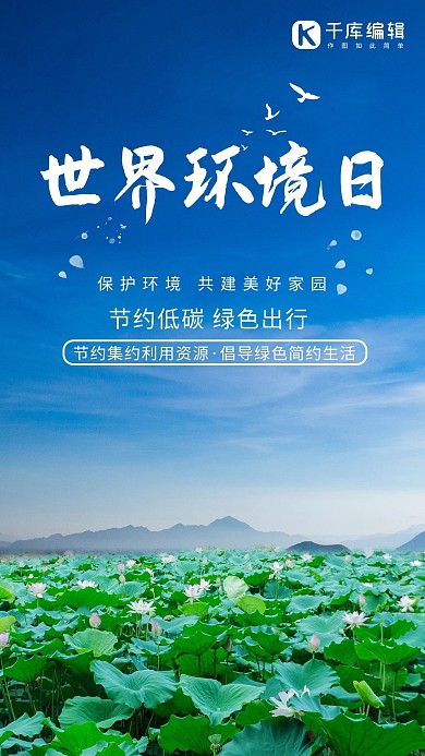 世界环境日荷花蓝色清新海报