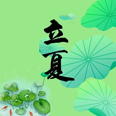 夏至金鱼 荷花绿色中国风次图