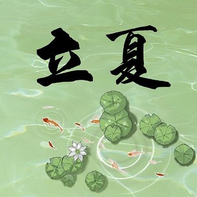 立夏荷花金鱼绿色中国风次图