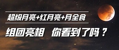 超级月亮组团亮相彩色简约公众号首图