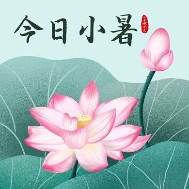 今日小暑荷花彩色简约公众号次图