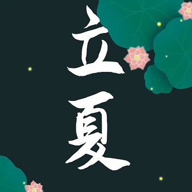 立夏荷花、荷叶墨绿小清新公众号次图