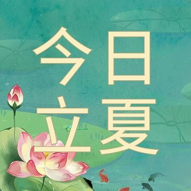 小暑/大暑荷花绿色中国风公众号次图
