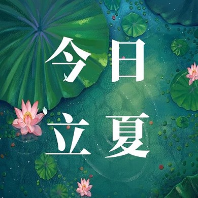 今日立夏荷花深绿色简约海报