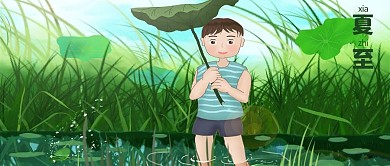 绿色 夏至24节气 二十四节气公众号封面图