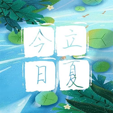 今日立夏荷画蓝色简约公众号次图