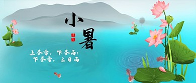 小暑荷花,小暑青,绿,红中国风,渐
