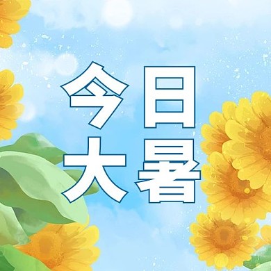 今日大暑节气向日葵插画公众号次图